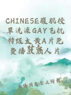 CHINESE腹肌校草洗澡GAY飞机特级太黄A片免费播放成人片