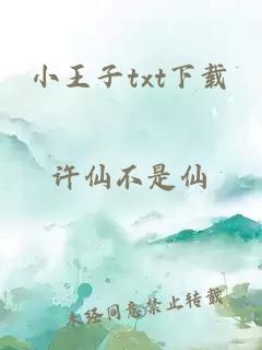 小王子txt下载