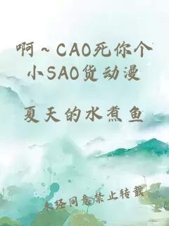 啊～CAO死你个小SAO货动漫