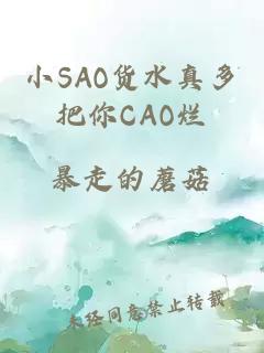 小SAO货水真多把你CAO烂