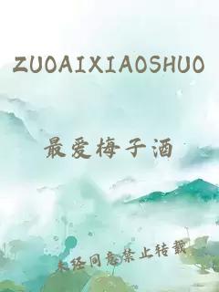 ZUOAIXIAOSHUO