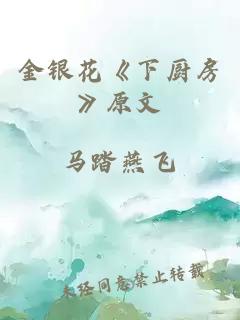 金银花《下厨房》原文