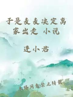 于是麦麦决定离家出走 小说