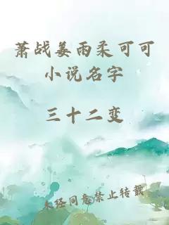 萧战姜雨柔可可小说名字