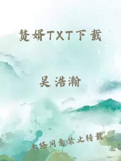 赘婿TXT下载